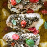 chicken topped with pesto in a baking dish