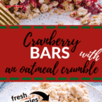 cranberry bars made with oatmeal crumble on a white speckled plate