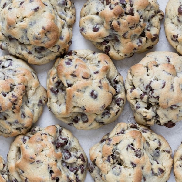 large chocolate chip cookies