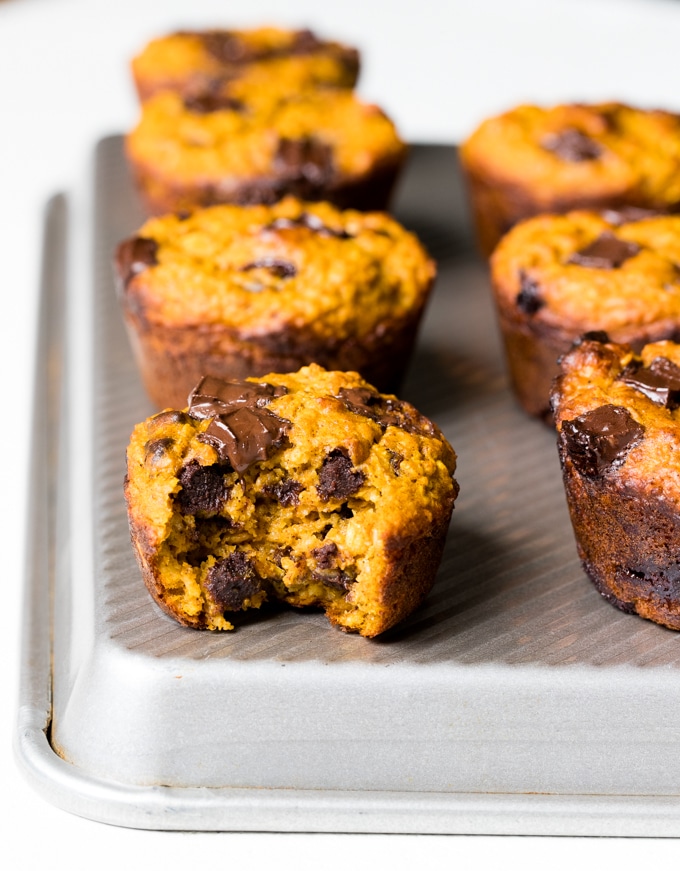 gluten free pumpkin muffins topped with chocolate chips on a baking sheet