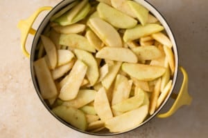 sliced apples in a silver bowl