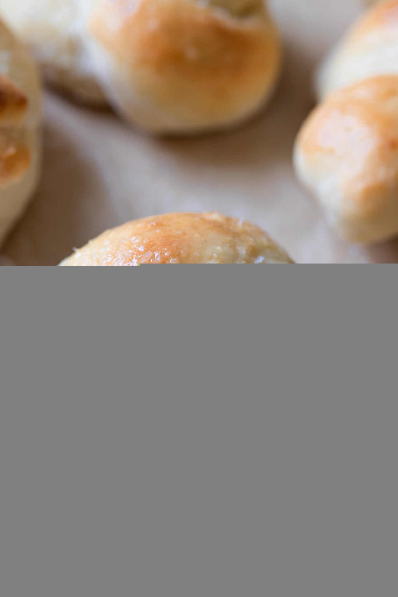 freshly baked sweet dinner roll