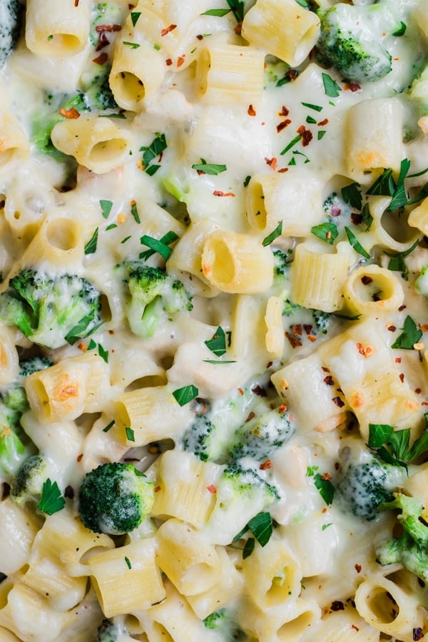 an up close photo of pasta with broccoli covered in cheese