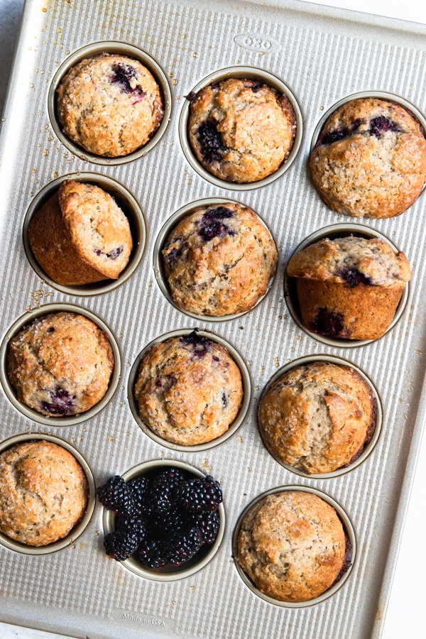 freshly baked blackberry muffins in a muffin tin
