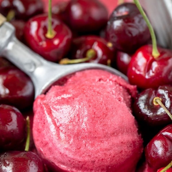 a scoop of sorbet