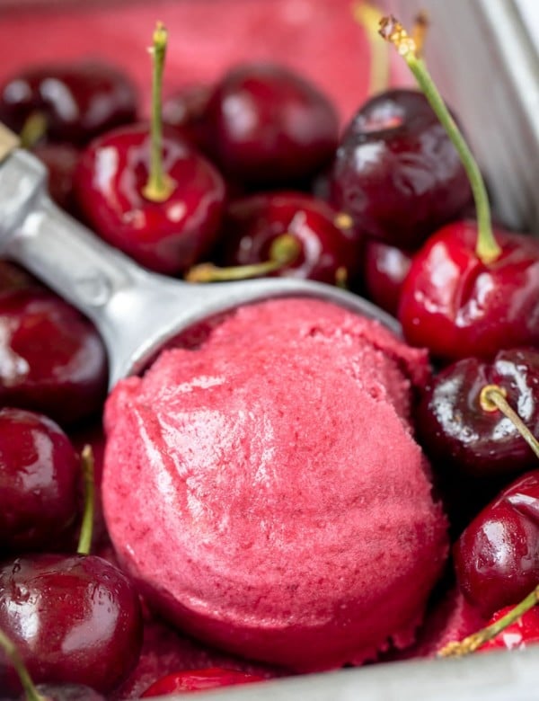 a scoop of sorbet