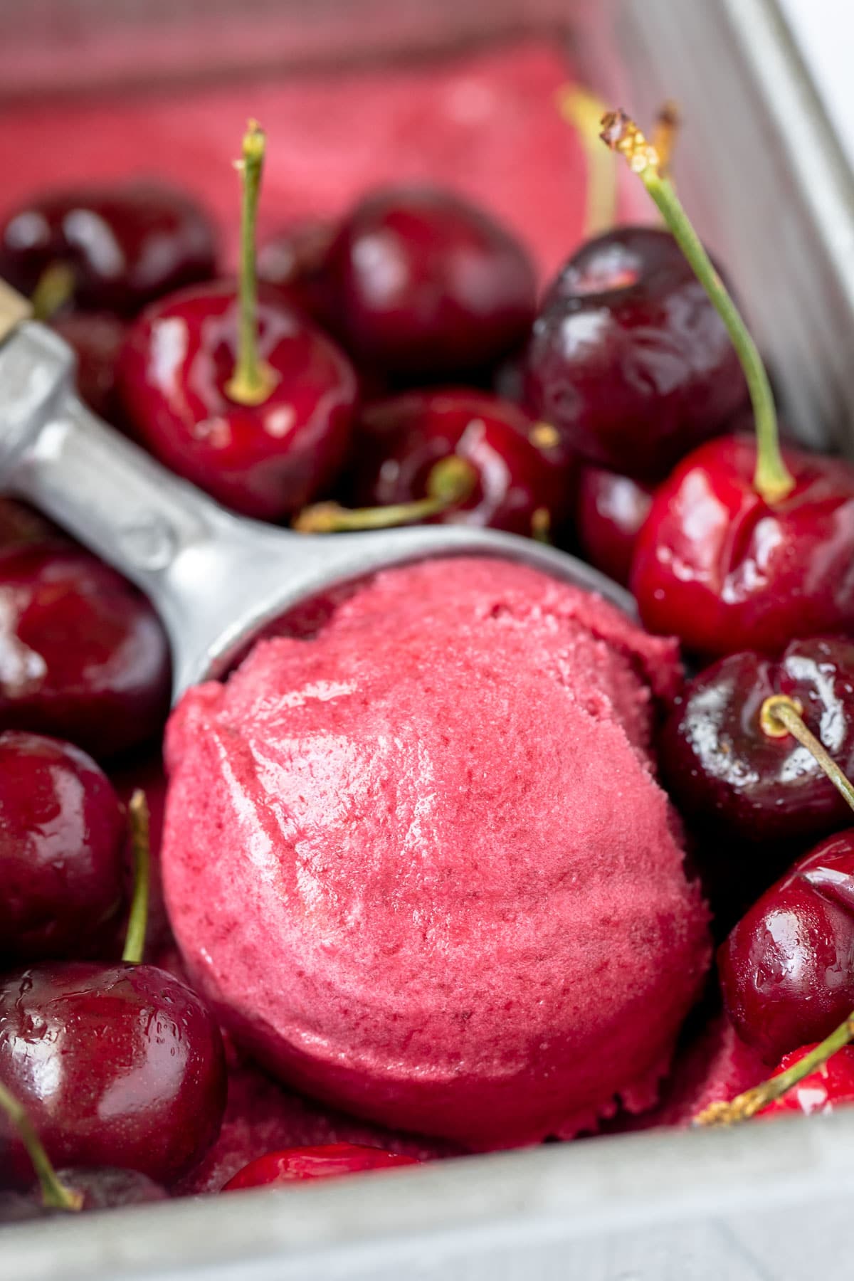 a scoop of sorbet