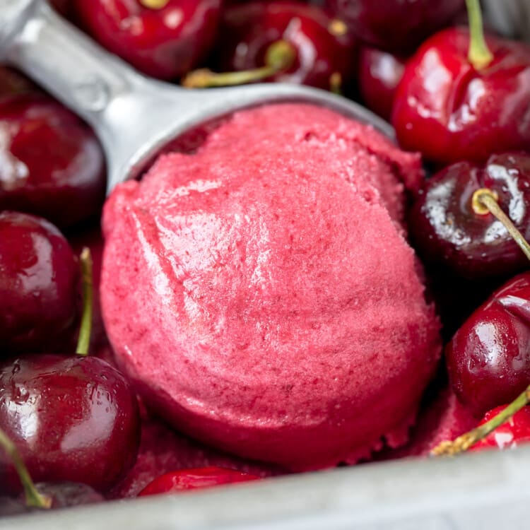 a scoop of sorbet