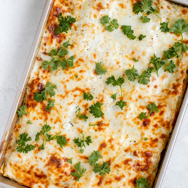 lasagna in a 9x13 pan with melted cheese on top