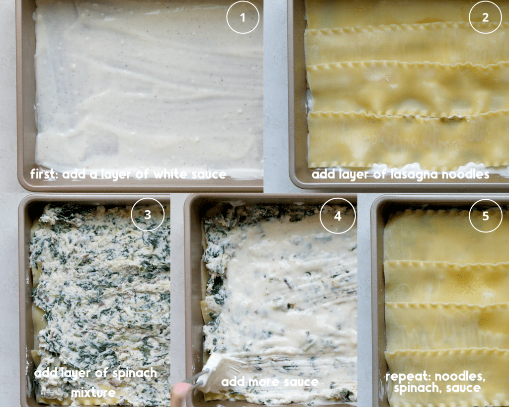 step by step photos of assembling a lasagna