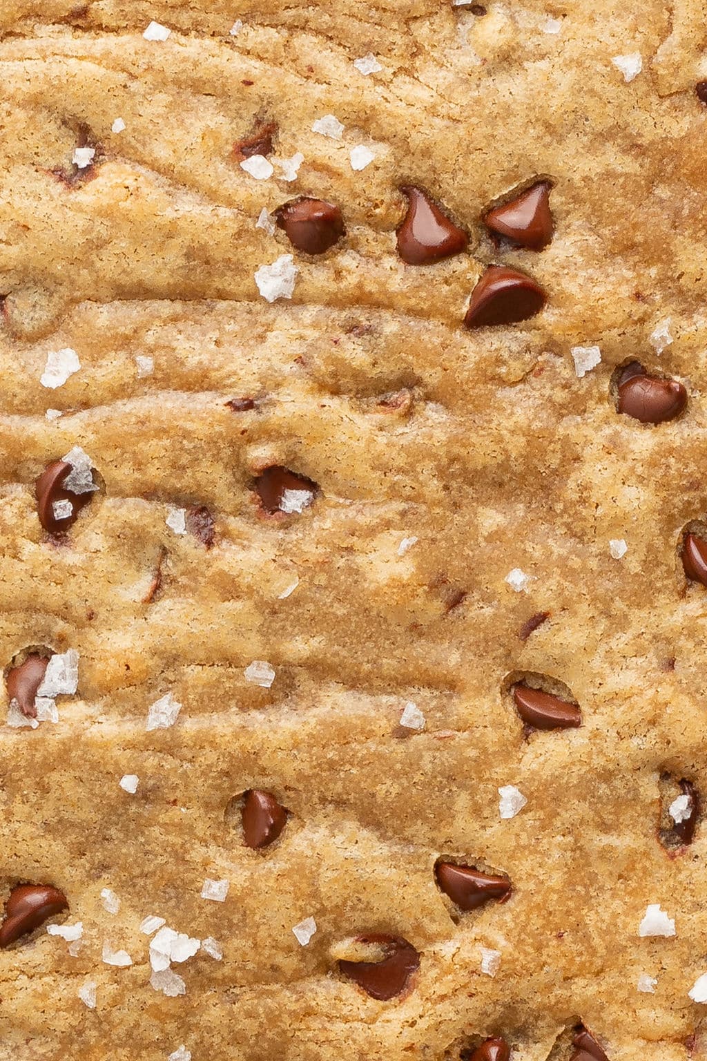 Extreme close-up of the blondie surface, showing gooey melted chocolate chips, a golden-brown crumb, and visible flakes of sea salt for texture.