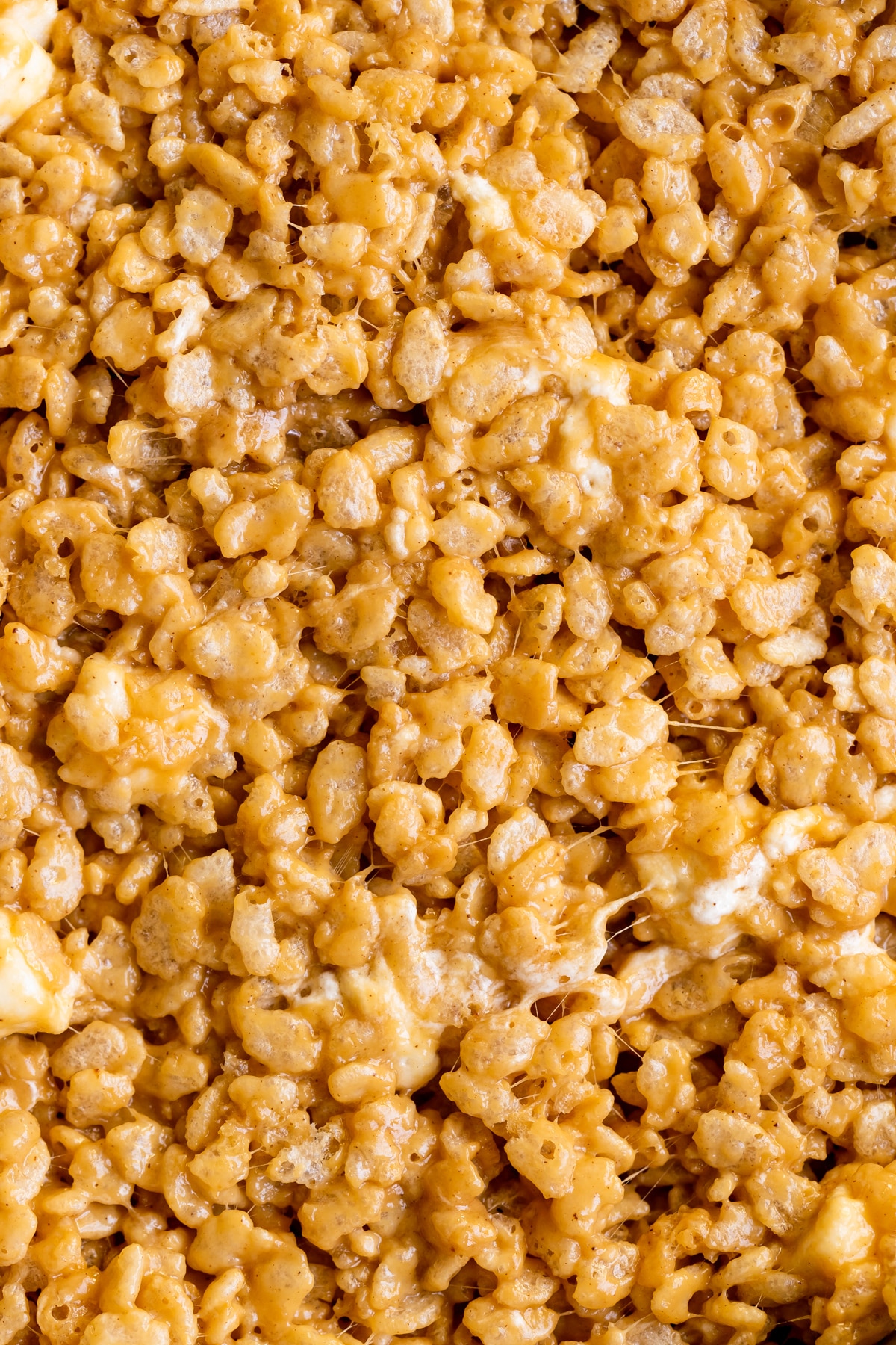 an up close image of rice krispy treats made with peanut butter and mini marshmallows.