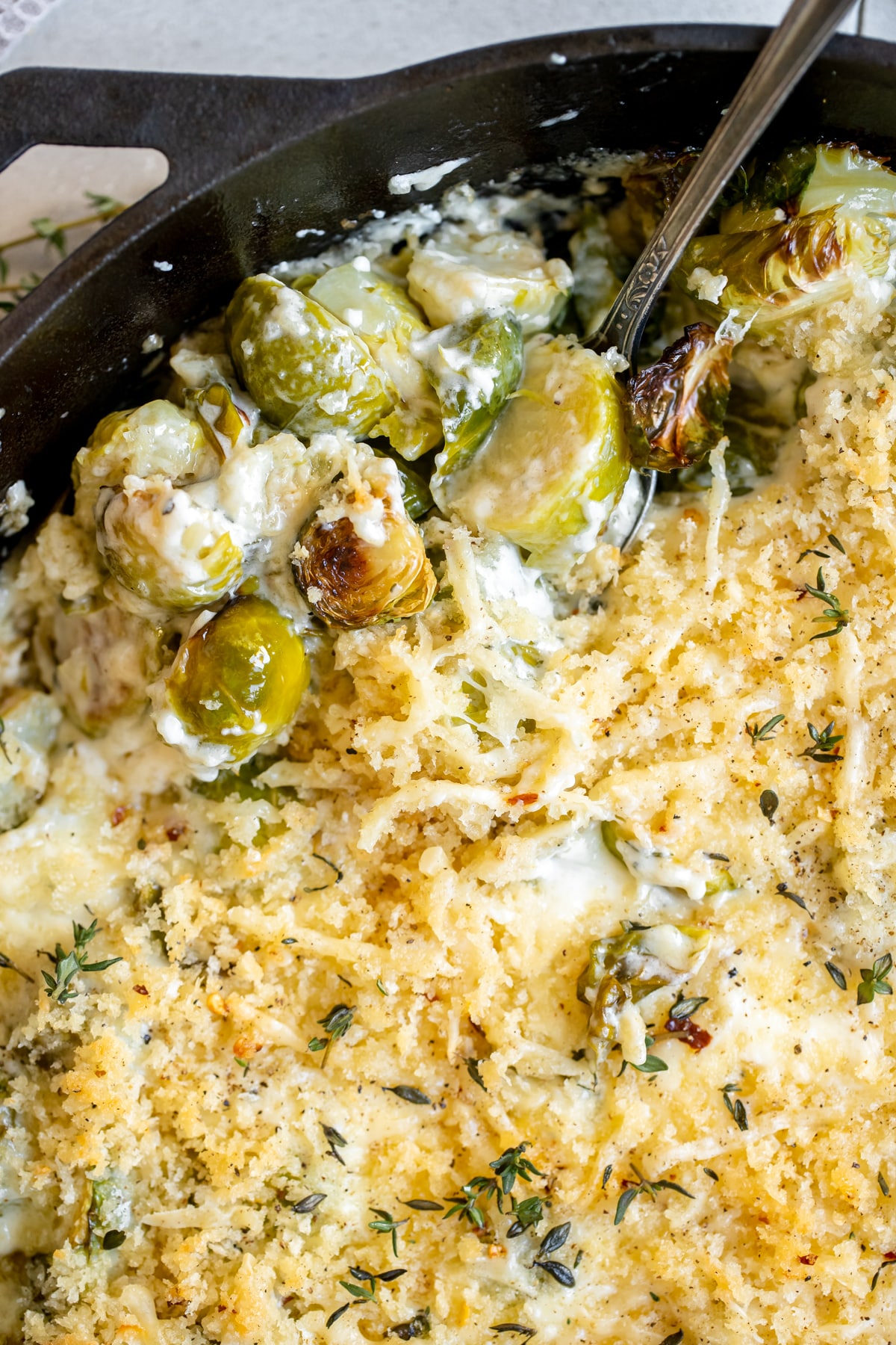 a cream sauce in a cast iron skillet smothered over Brussels sprouts. 