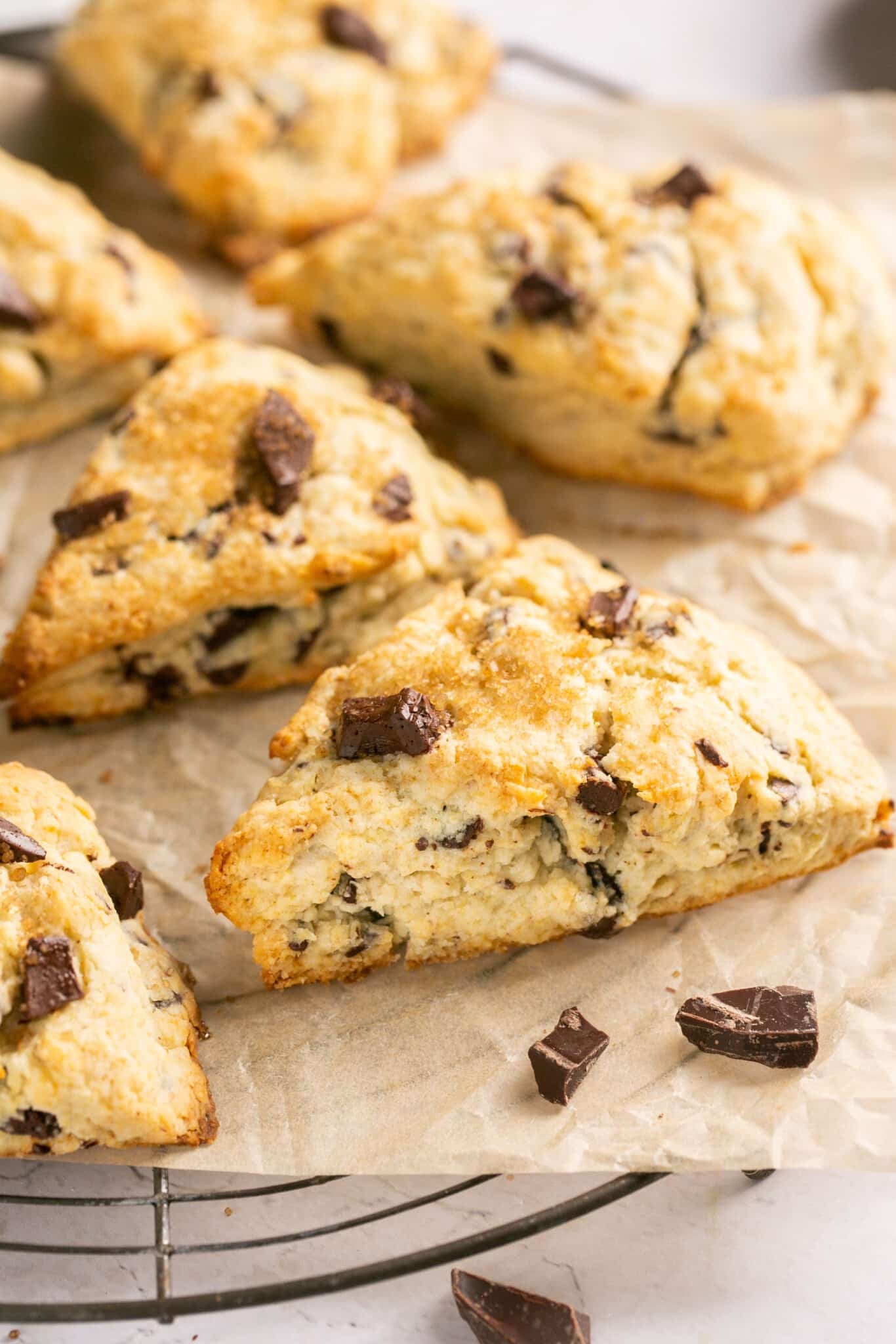 scones on parchment paper made with chocolate.