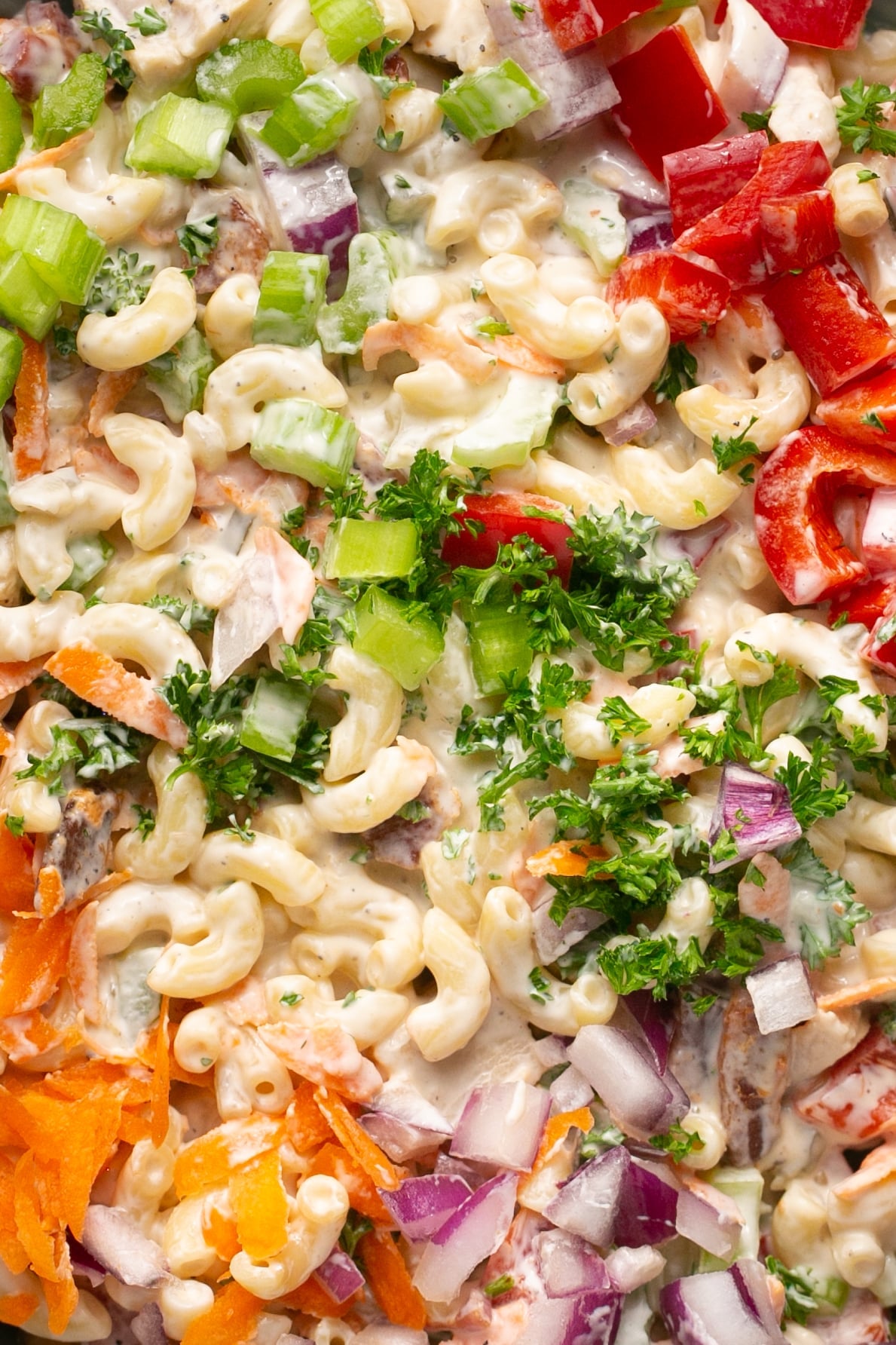 an up close imagine of chicken macaroni salad garnished with parsley.
