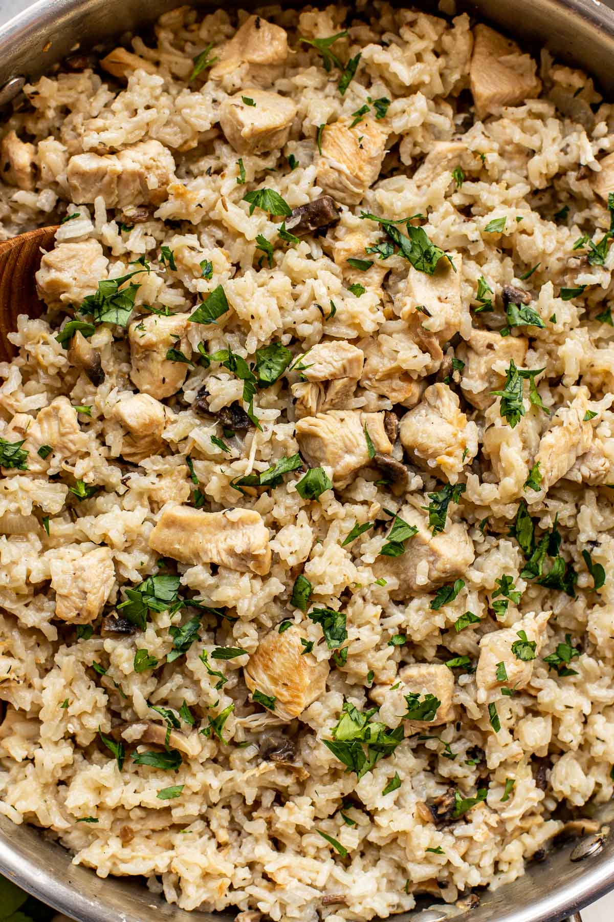 An up close image of chicken, mushrooms and rice garnished with fresh parsley. 