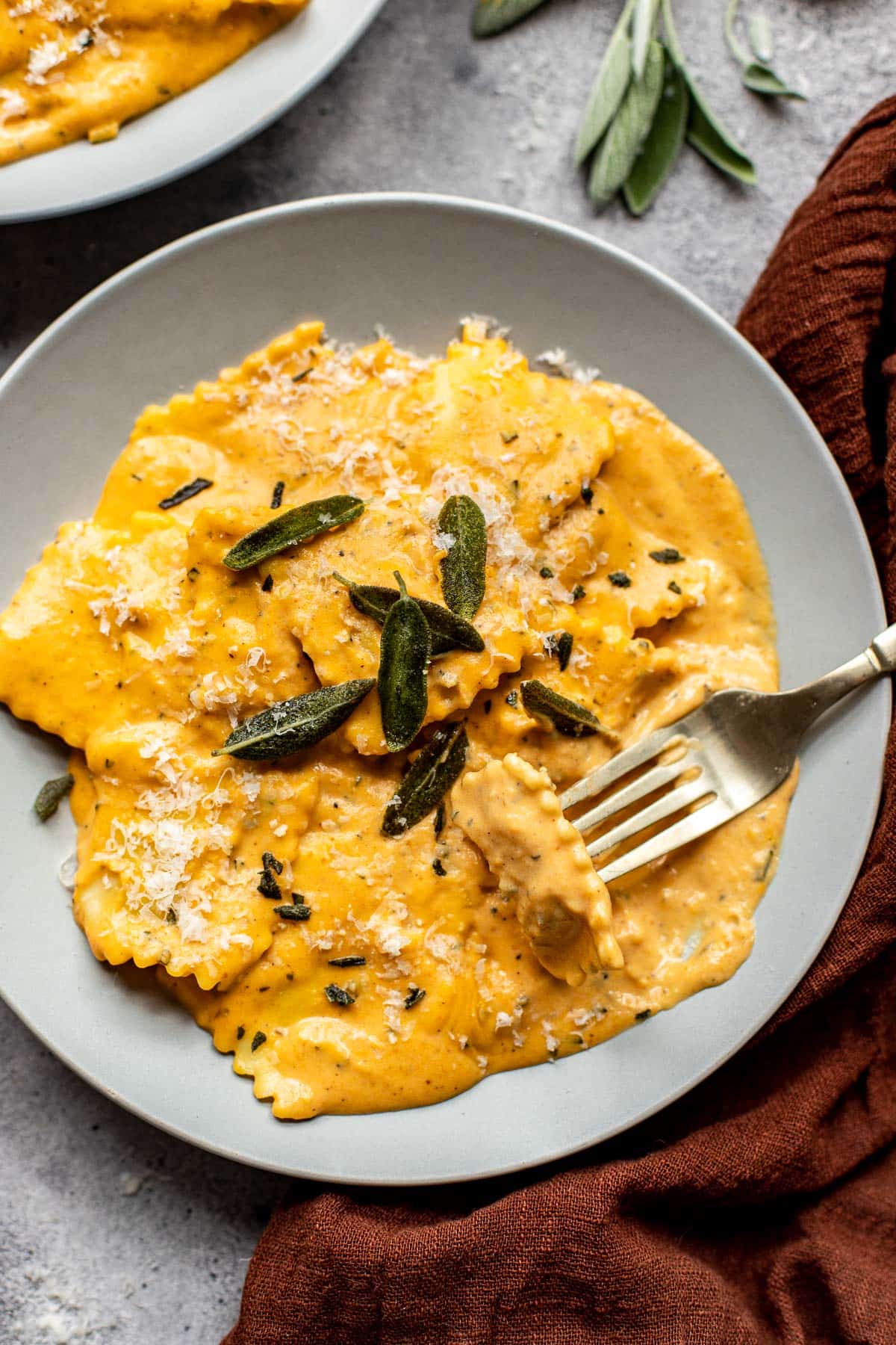 pumpkin alfredo with fresh sage on top.