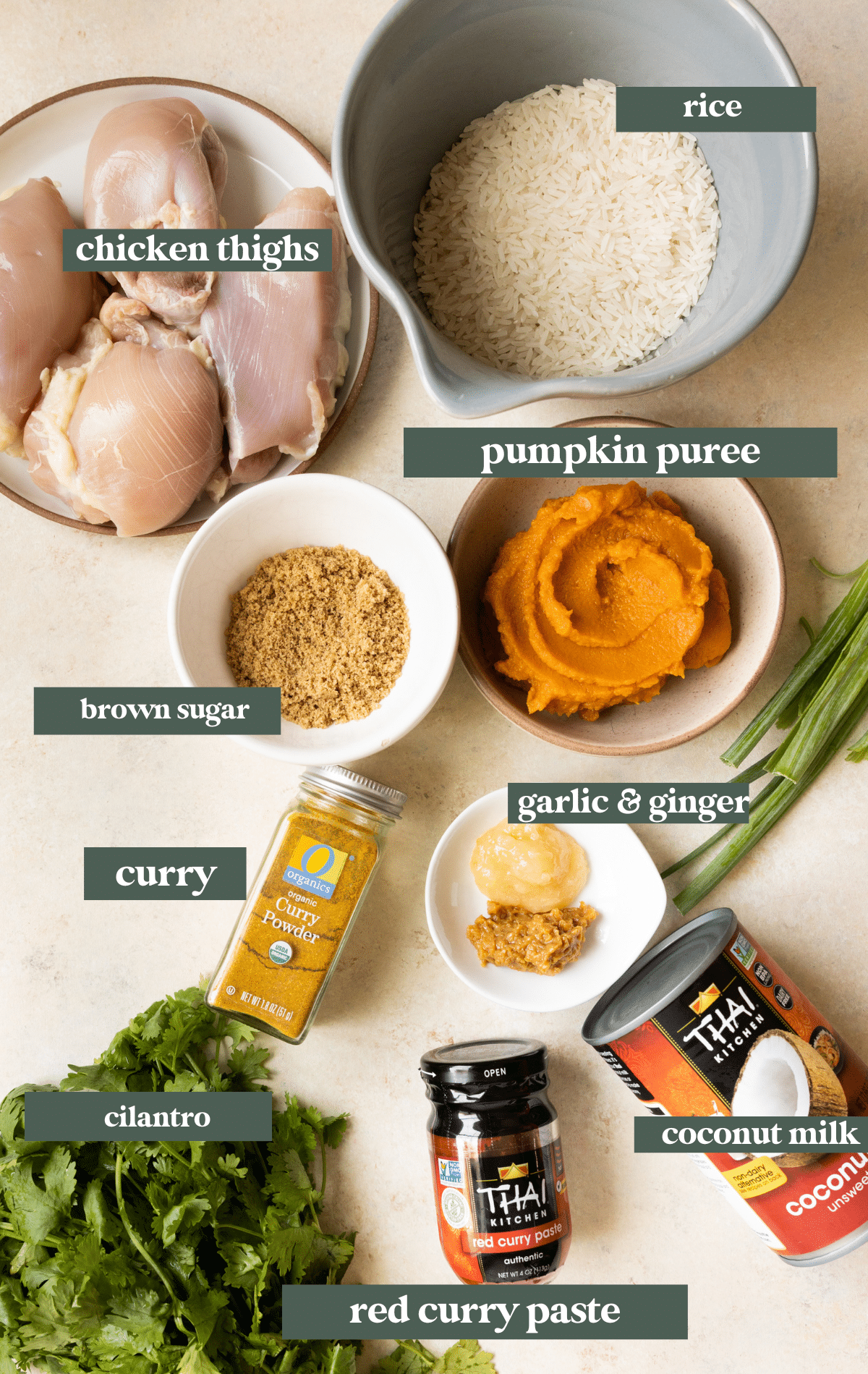 ingredients to make a chicken curry with pumpkin puree in small glass bowls. 