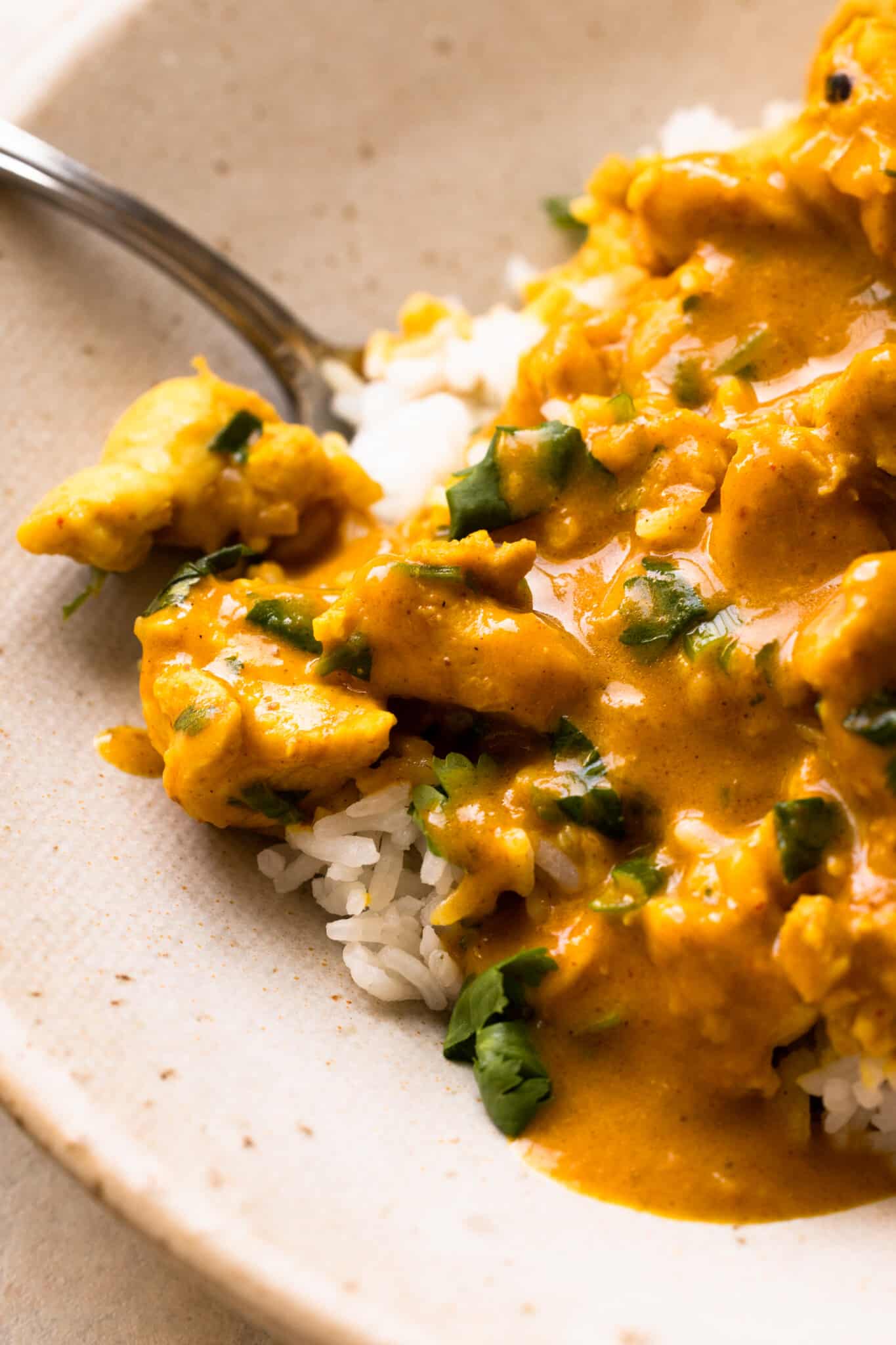 white rice topped with pumpkin curry and chunks of chicken plus green herbs