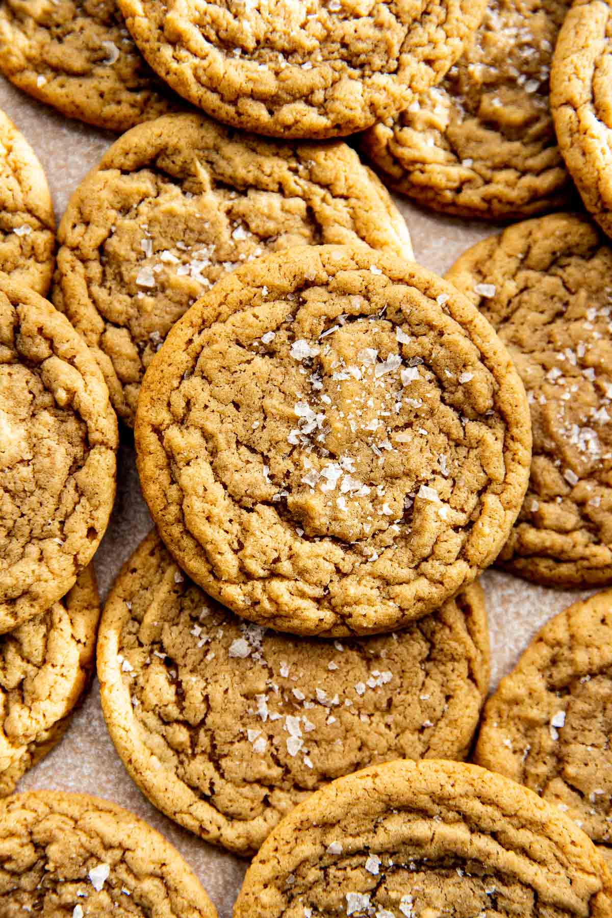 chocolate chipless cookies in a pile.