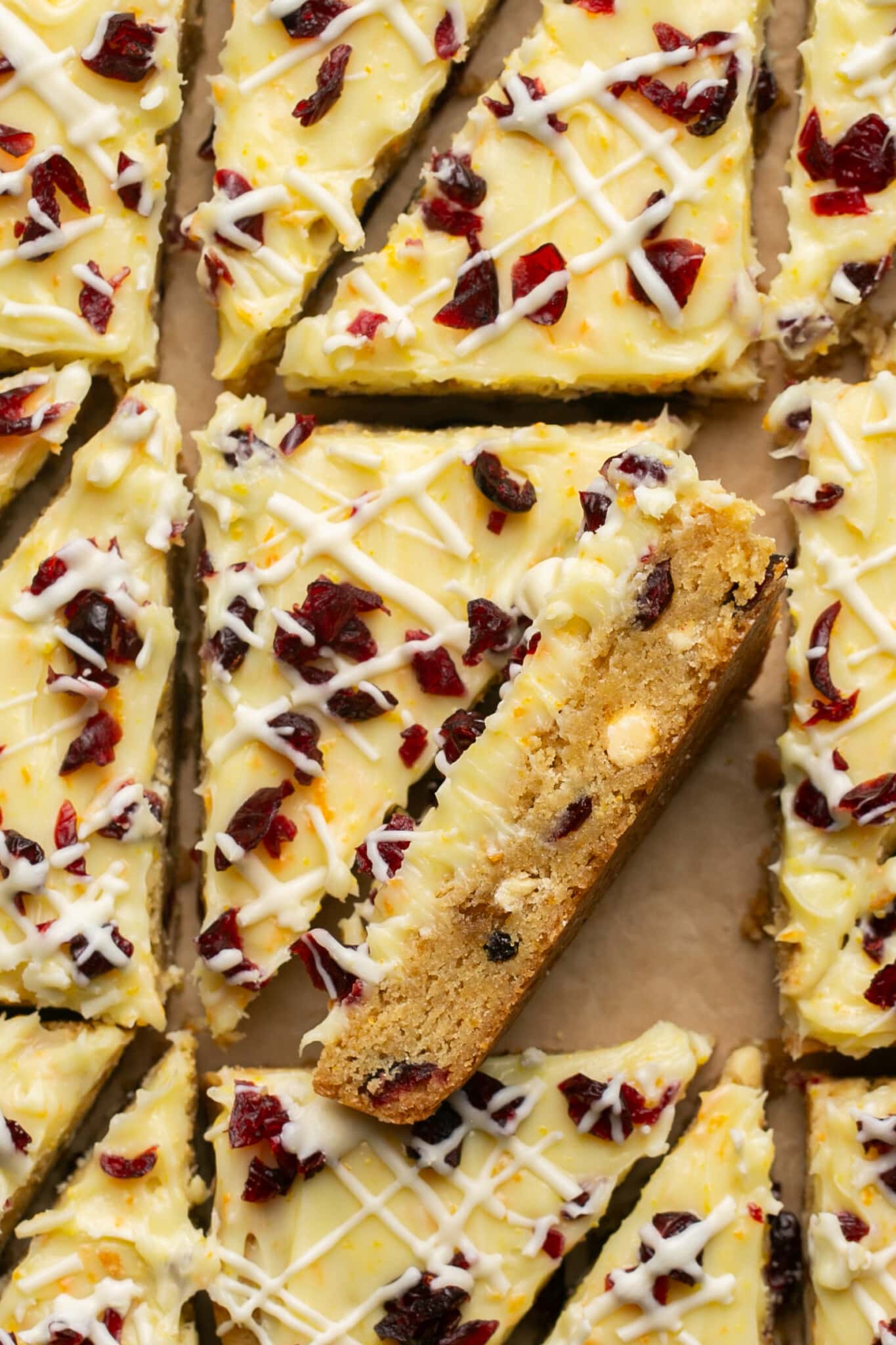 an up close image of bliss bars garnished with white chocolate and cranberries on top. 