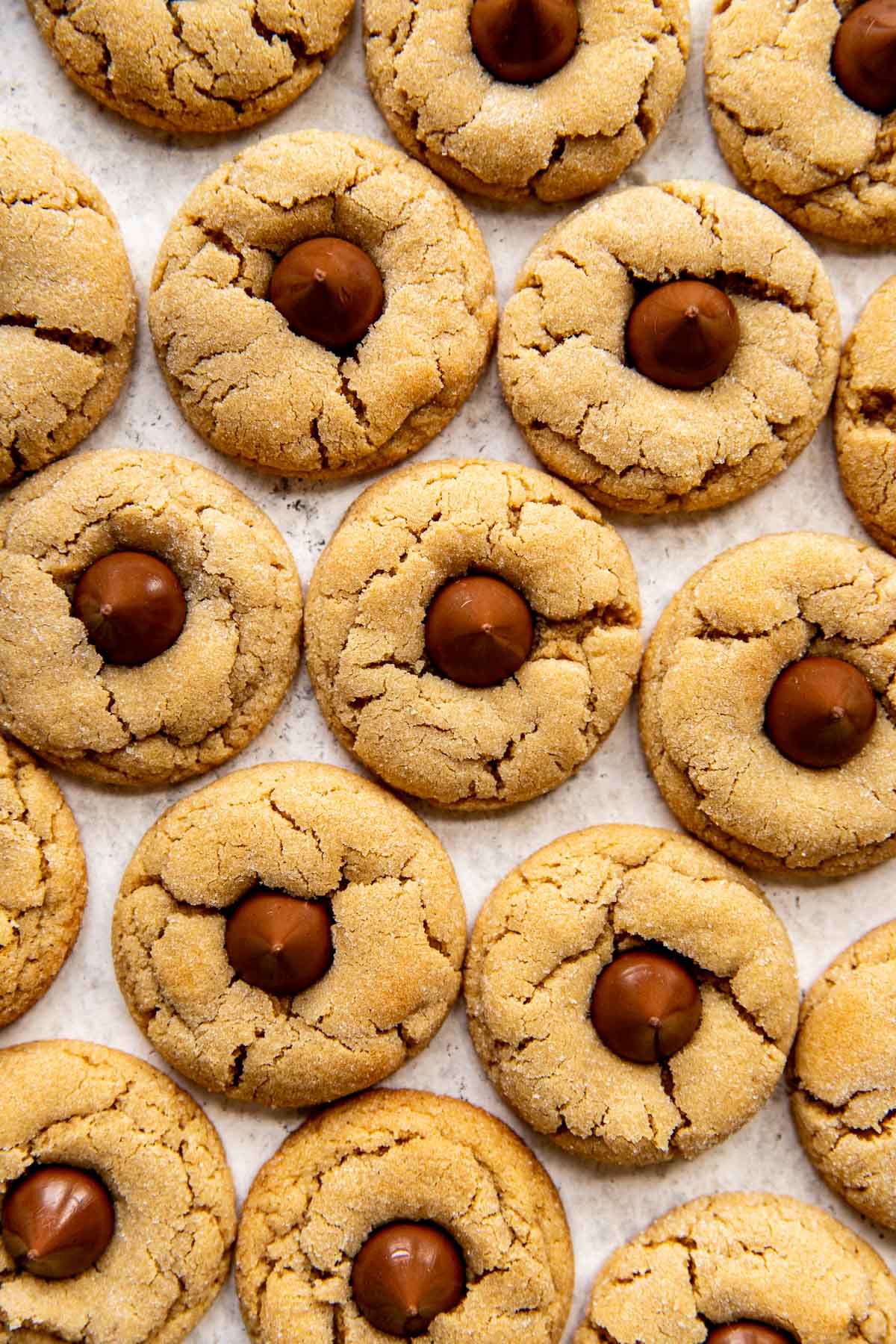 cookies with a chocolate kiss pressed in the middle. 