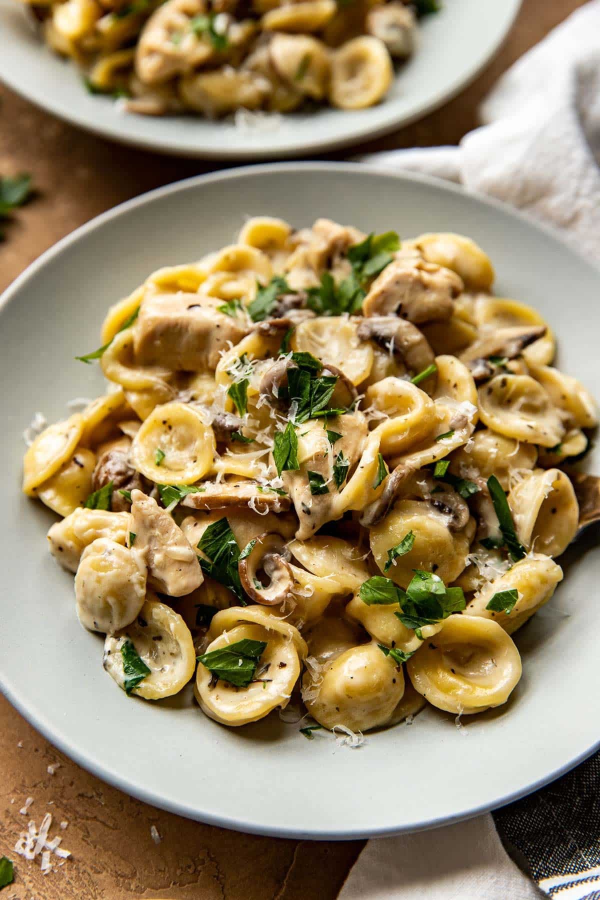 pasta on a plate garnished with parsley and cheese. 