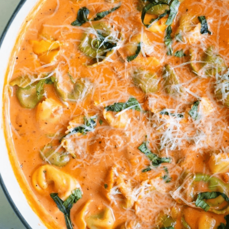 soup with tortellini, spices, and shredded cheese