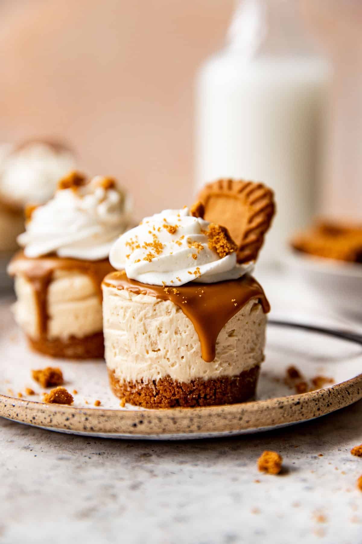 a cookie butter cheesecake on a plate.