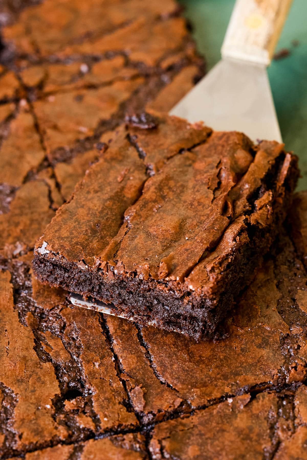 fudgy brownie on a serving spatula.