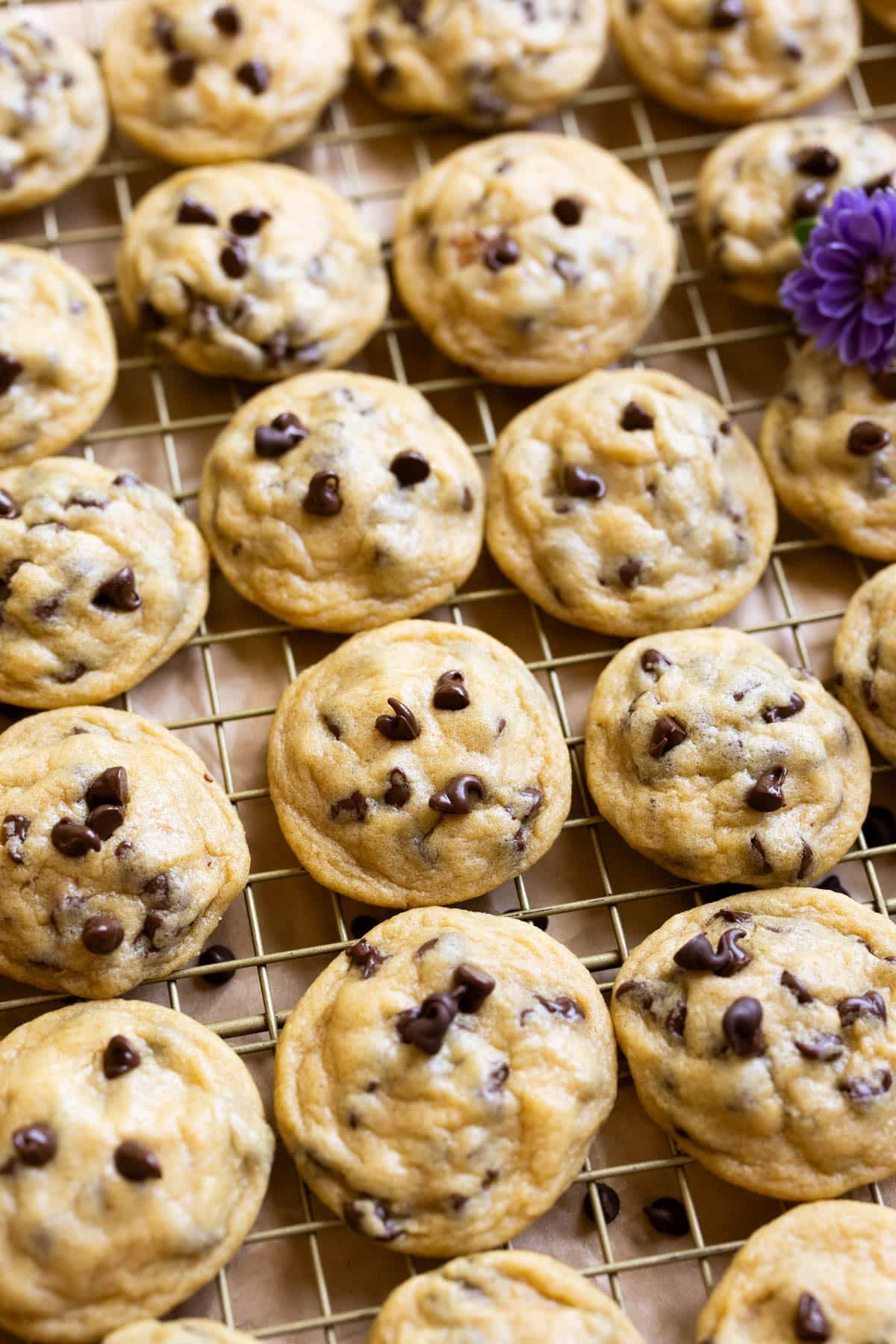 cookies on a gold cooling rack. 