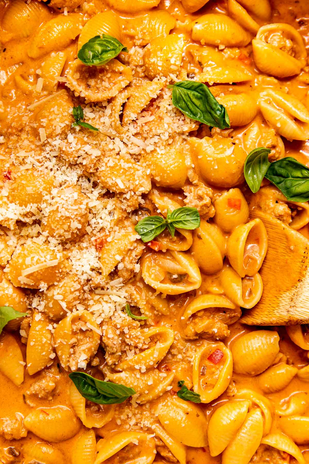 an up close image of shell pasta with ground turkey. 