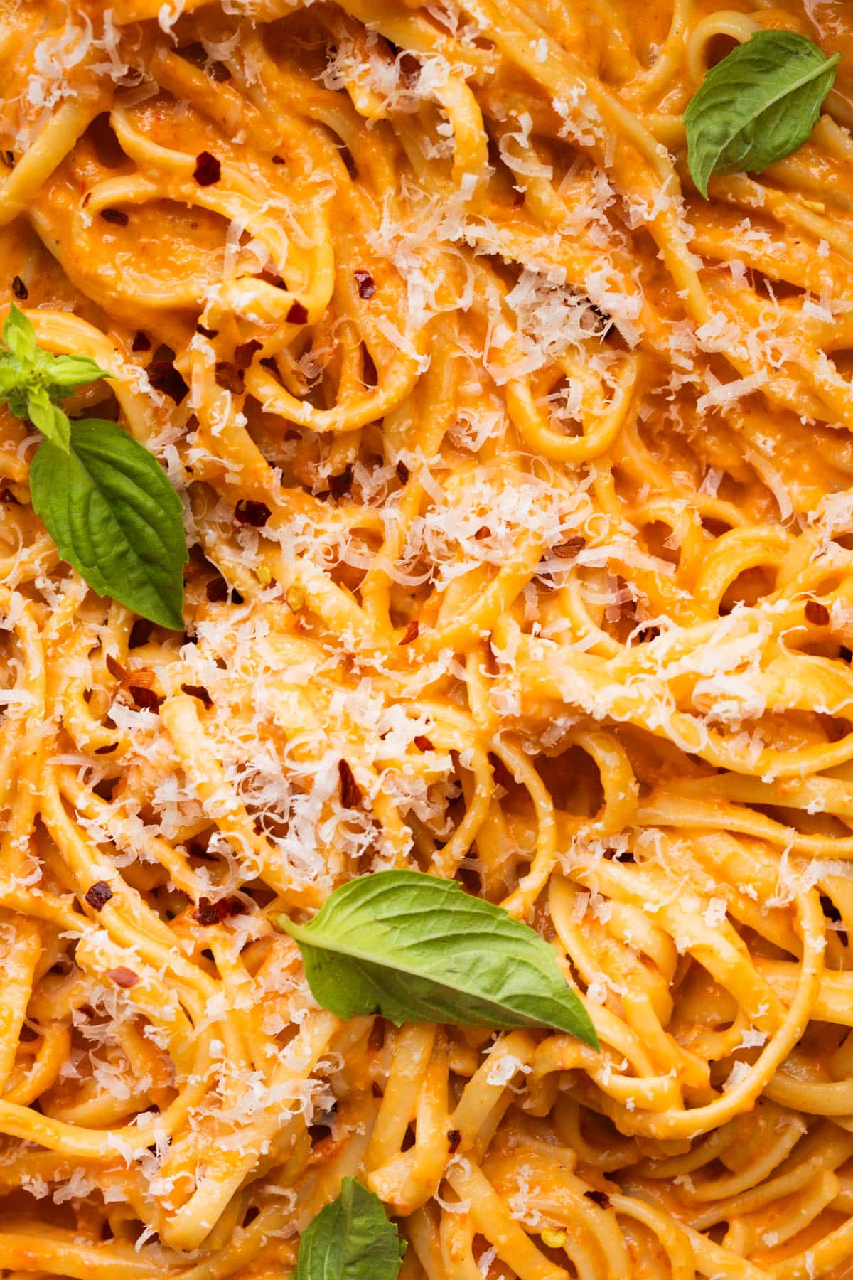 up close image of pasta with roasted bell peppers, parmesan and basil on top. 