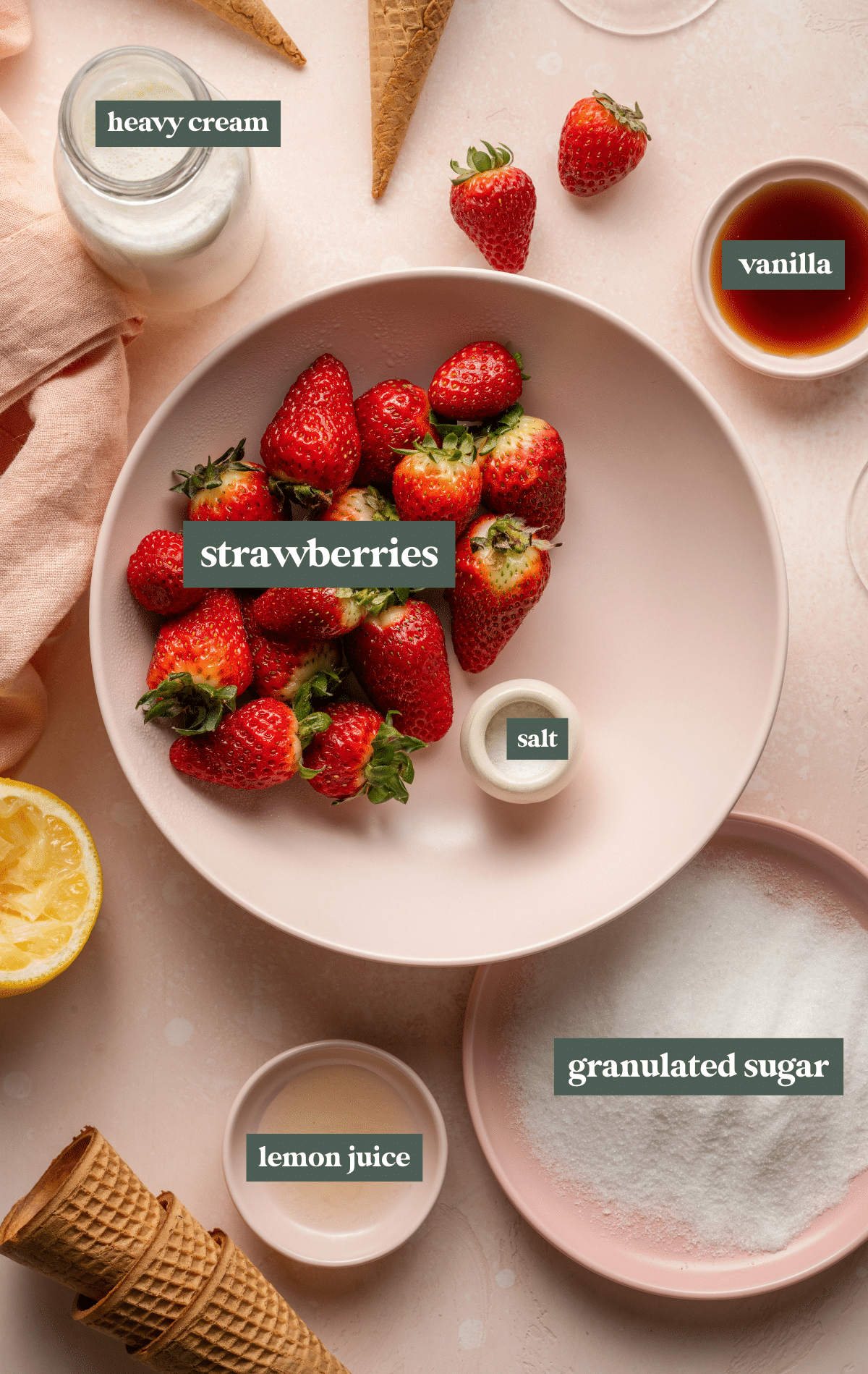 Labeled ingredients for strawberry ice cream made in the ninja creami.