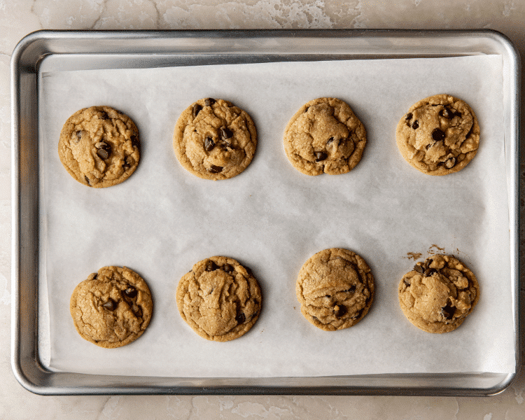 Tray of chocolate chip cookies after they've been baked.