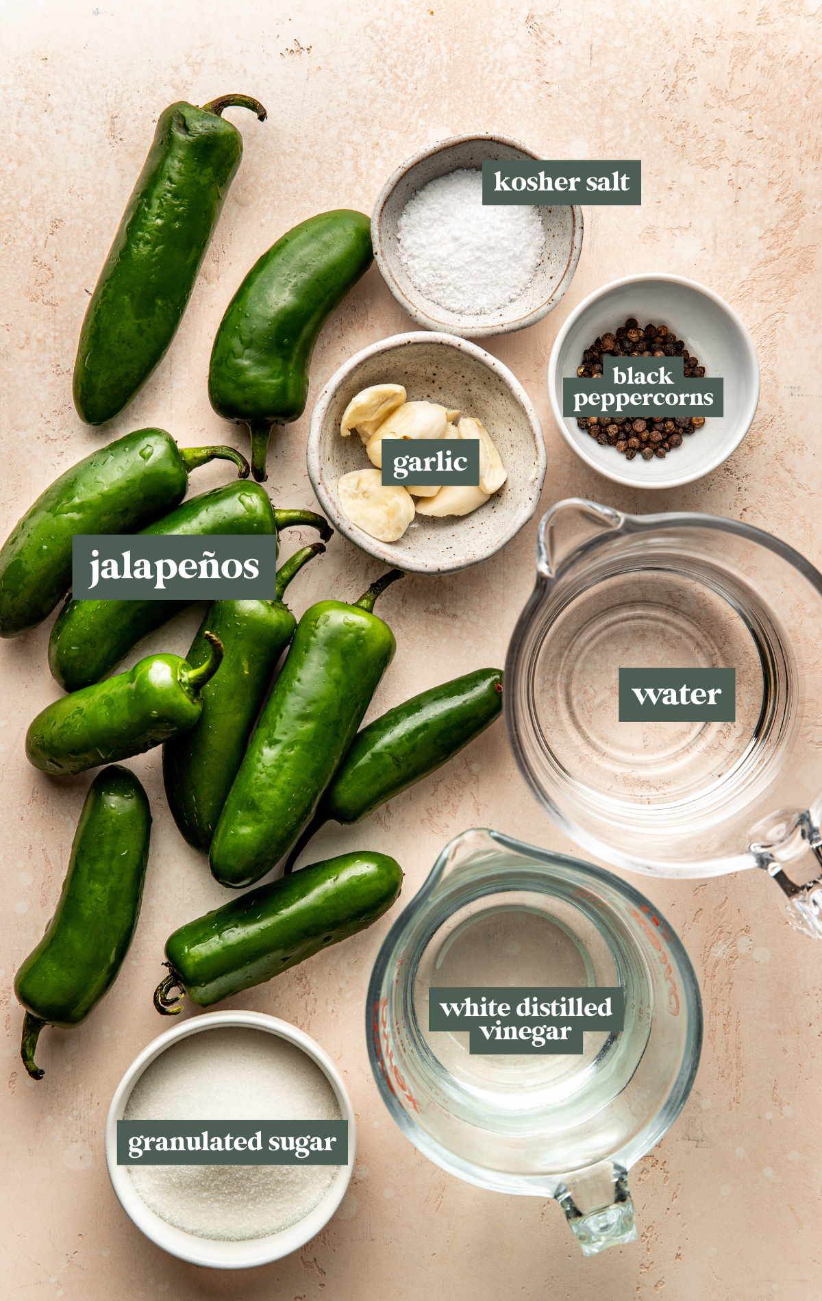 an overhead flat lay image of ingredients in small dishes needed to make pickled jalapenos like fresh jalapeños, garlic, kosher salt, water, distilled white vinegar, and sugar.