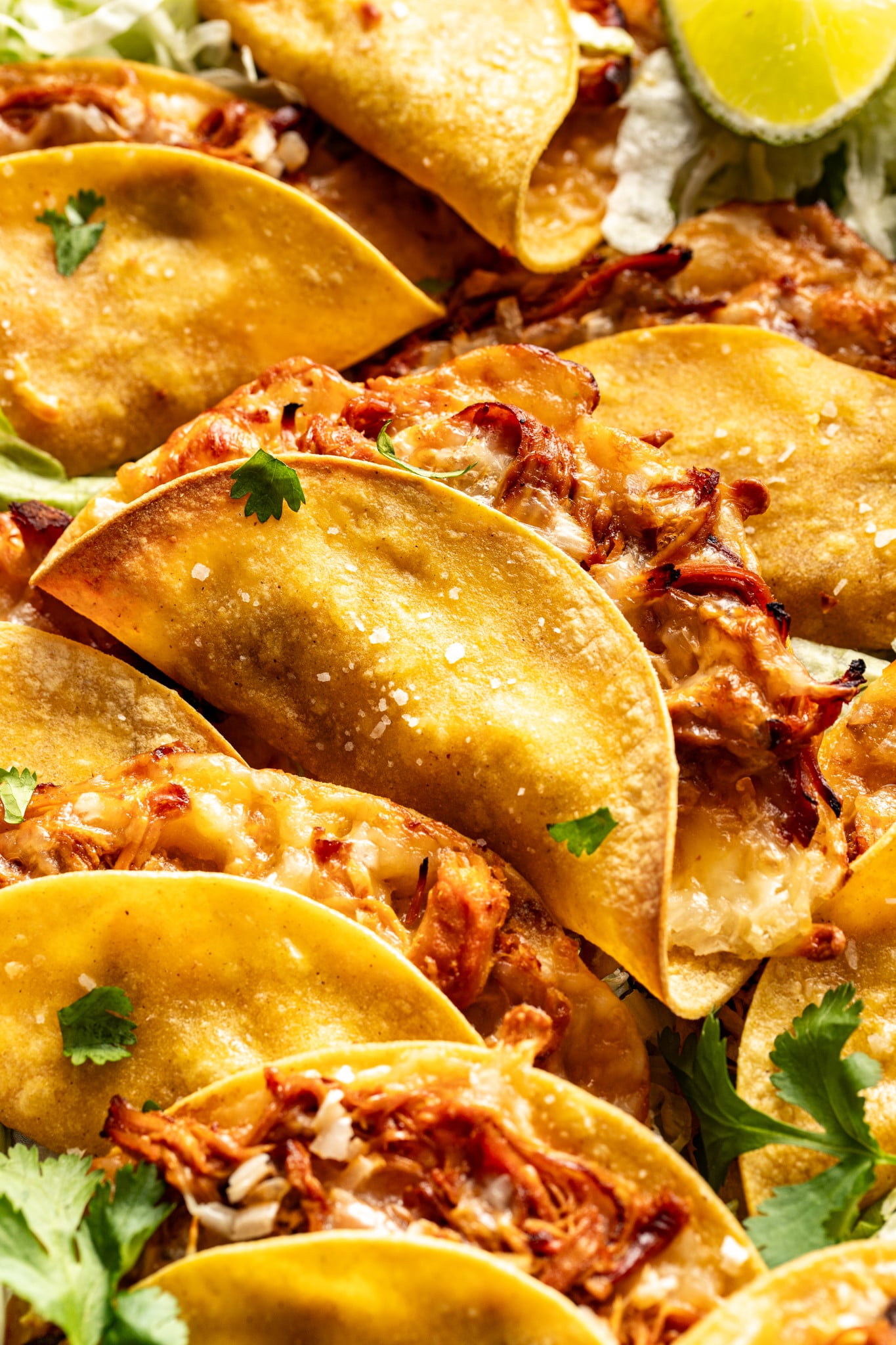 Honey chipotle chicken tacos baked and piled on top on each other.