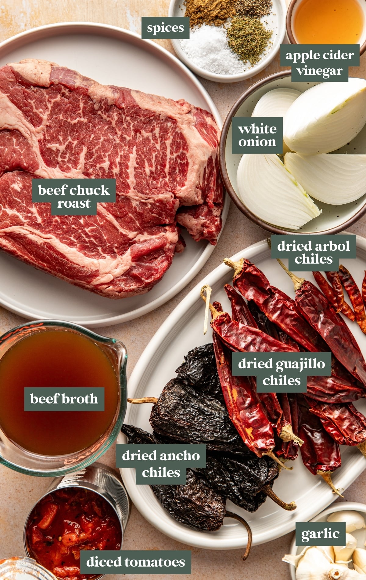 Overhead view of raw beef chuck roast on a plate surrounded by birria ingredients including dried guajillo chiles, dried ancho chiles, dried arbol chiles, white onion wedges, garlic cloves, spices, apple cider vinegar, beef broth, and diced tomatoes.